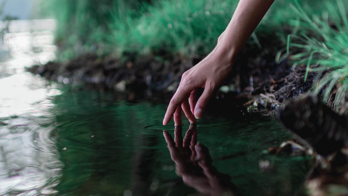 Finding Peace