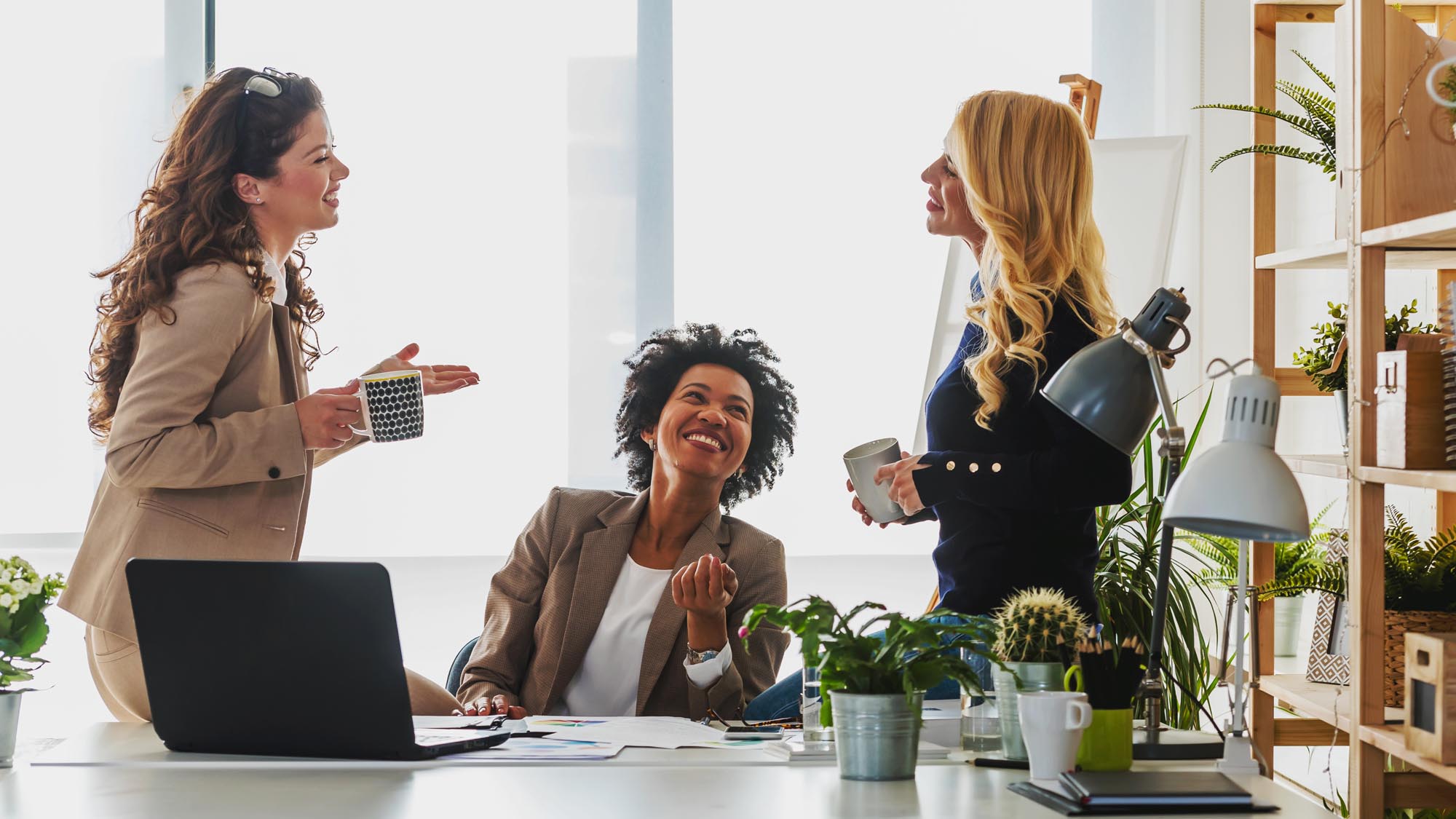 rehab for professionals in north carolina