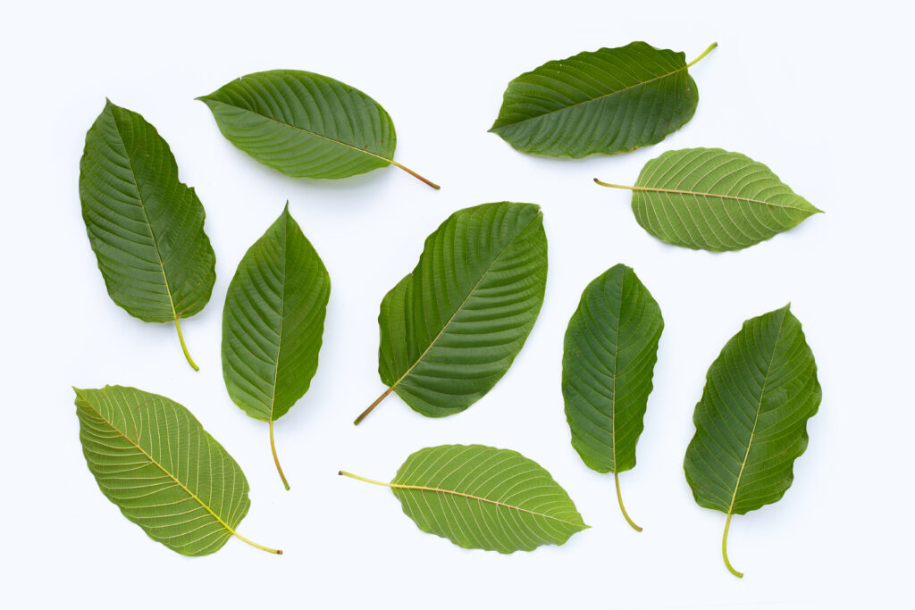 best kratom addiction treatment north carolina