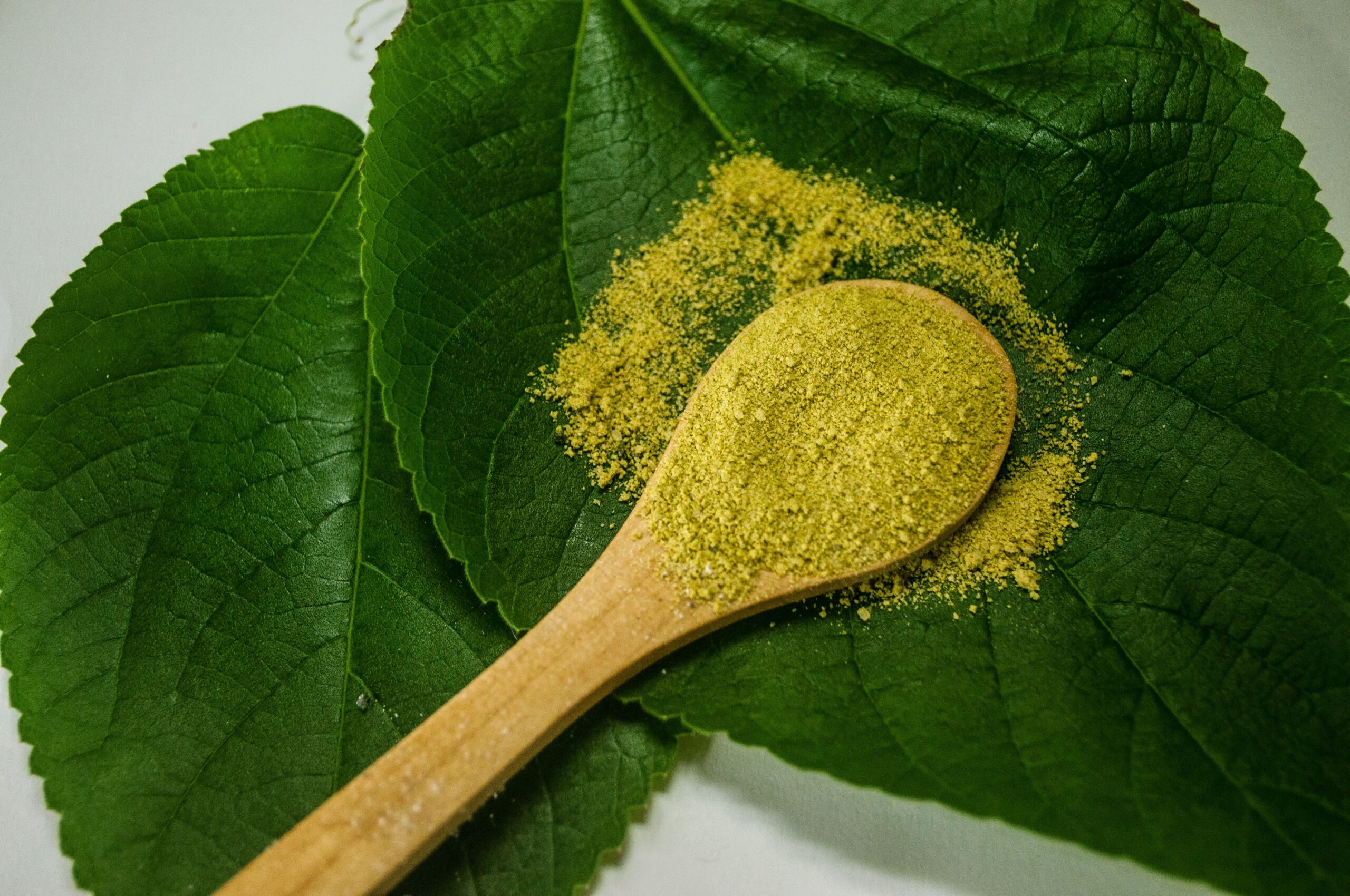 kratom addiction treatment north carolina guide