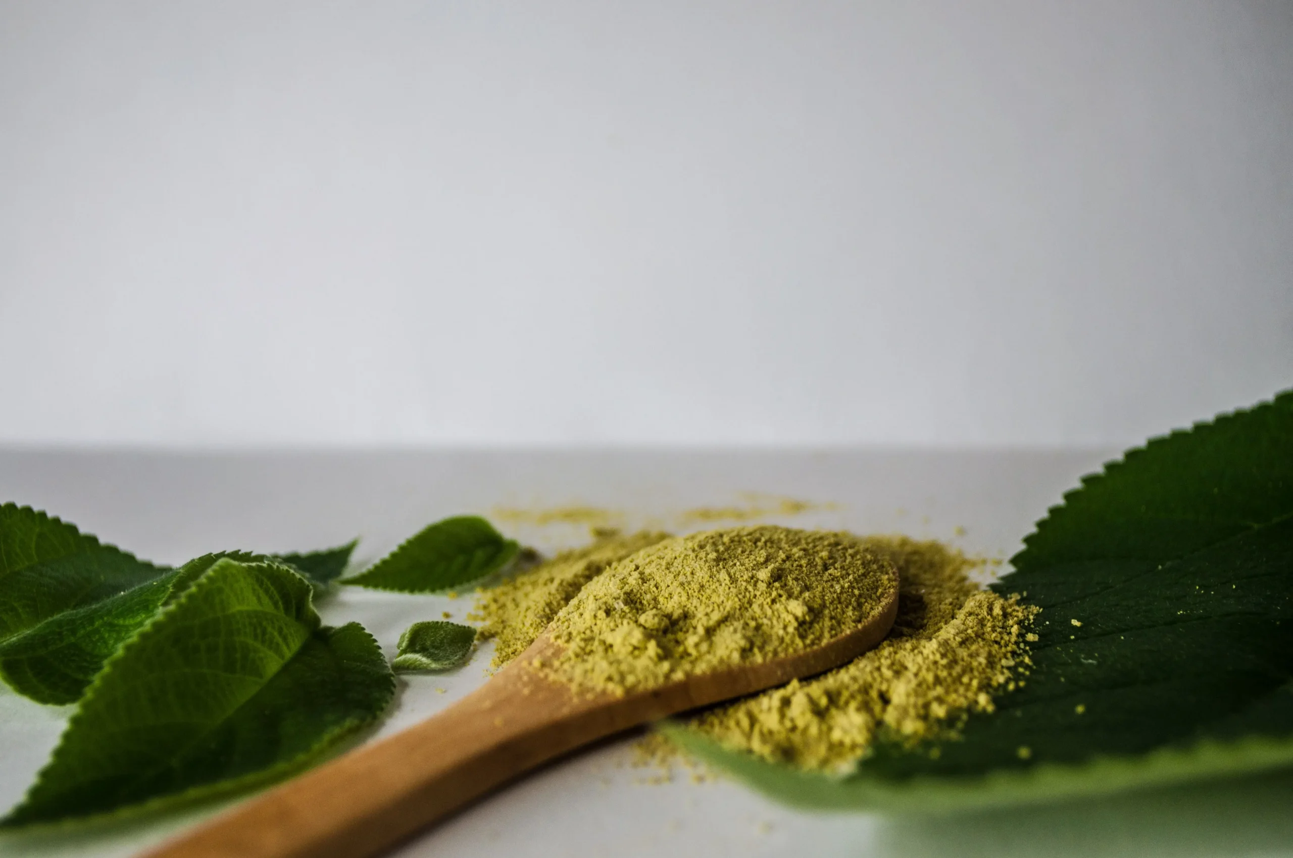 best kratom rehab center north carolina